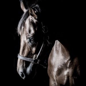 Meet your Posher, Kathryn